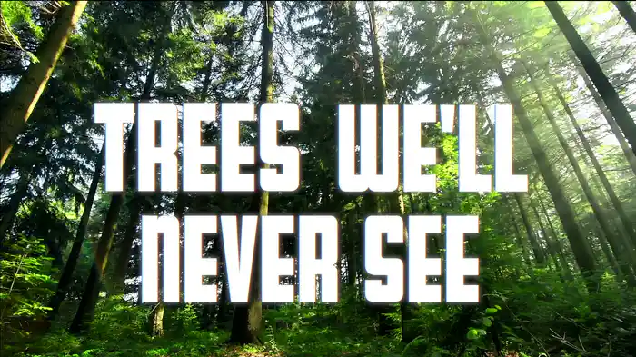 Trees We'll Never See (Lyric Video)