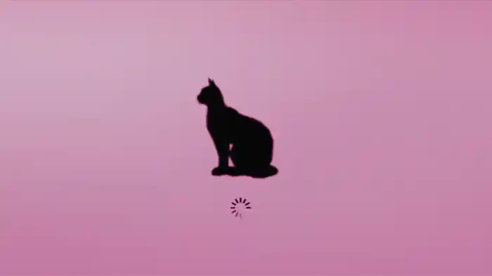 calmaê / citação: baba (Audio)