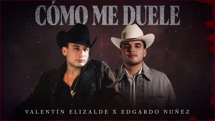 Cómo Me Duele (Visualizer)