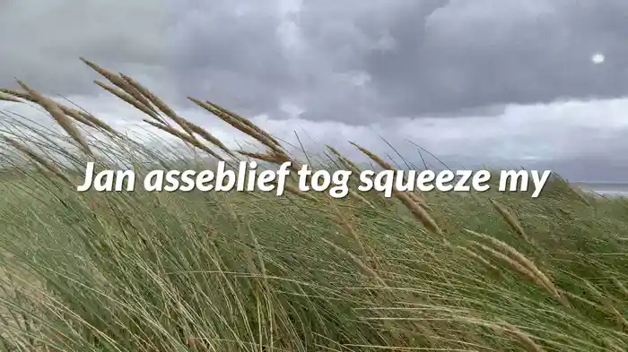 Jan Asseblief Tog Squeeze My (Lyric Video)