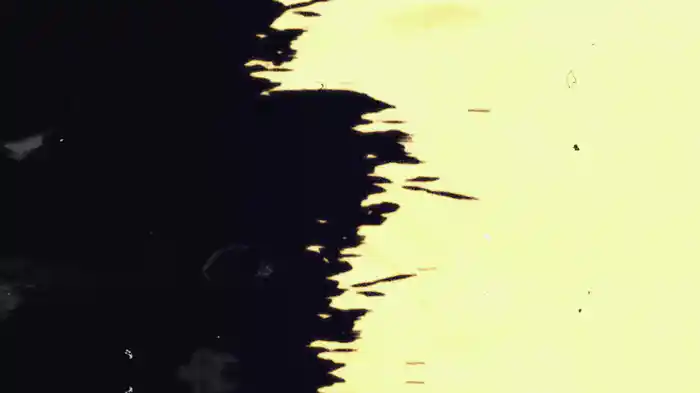 pookie wookie (Lyric Video)