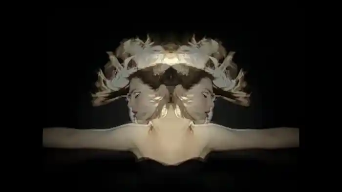 Move This Mountain (Video)