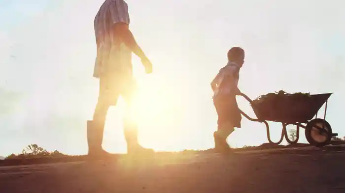 Build Me A Daddy (Fan Video)