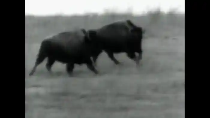 One (Mark Pellington Version)