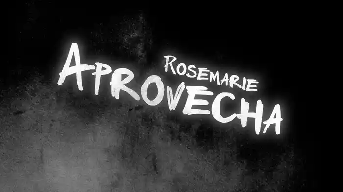Aprovecha (Lyric Video)