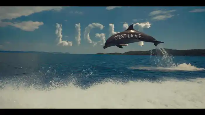 C’est La Vie