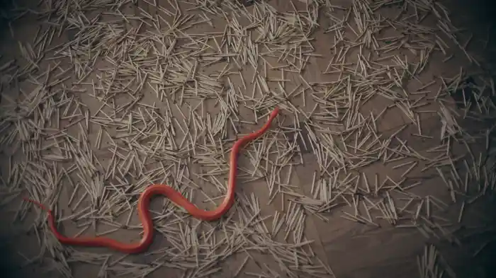 aniquilado (Visualizer)