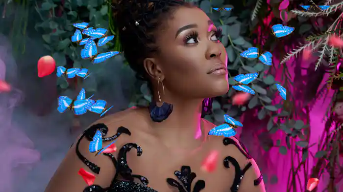 Our Process (Visualiser)