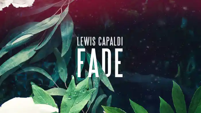 Fade (Visualiser)