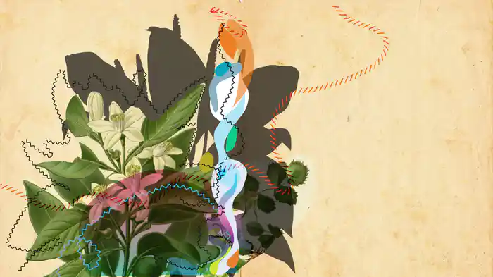 Vaidade (Lyric Video)