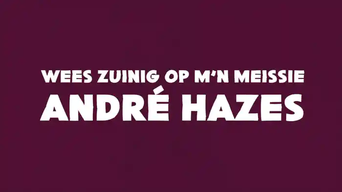 Wees Zuinig Op M'n Meissie (Lyric Video)