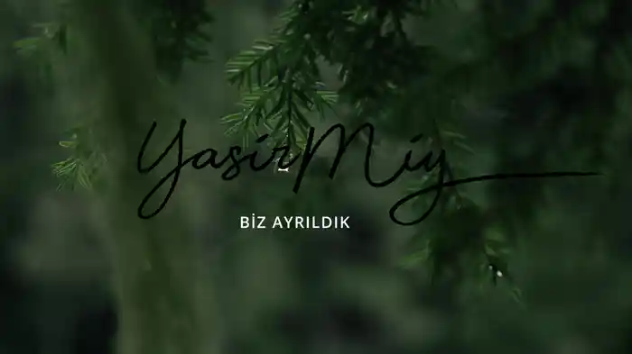 Biz Ayrıldık (Visualiser)