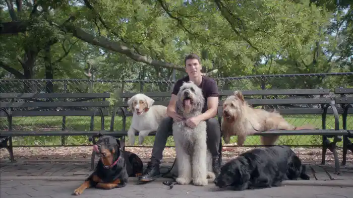 Worse Things Than Love