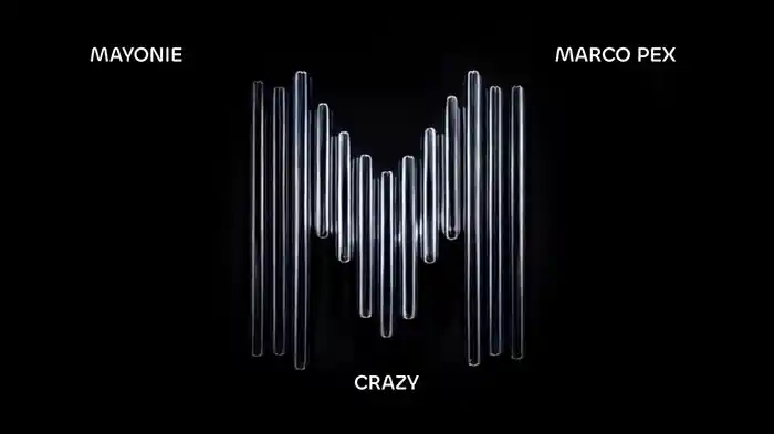Crazy (Visualizer)