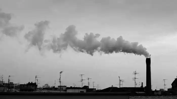 IN MEZZO ALLA POLVERE (Visual)