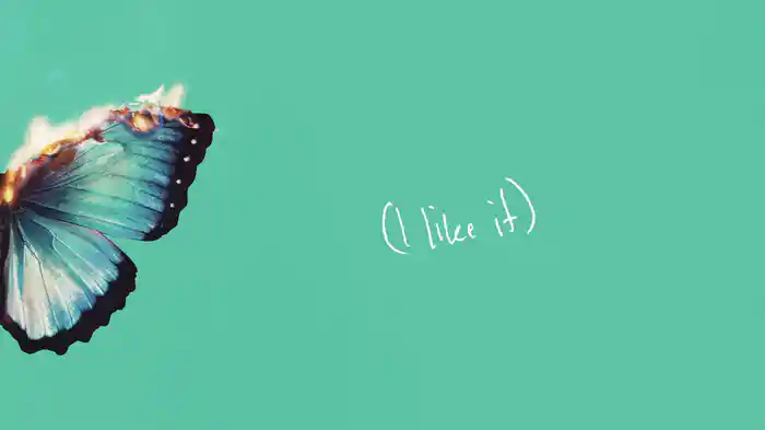 I Like It (Lyric Video)