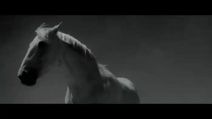Ride Lonesome (Visualizer)