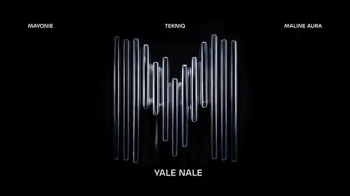 Yale Nale (Visualizer)