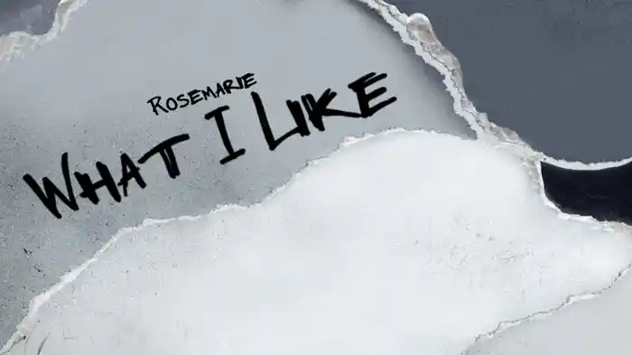 What I Like (Lyric Video)