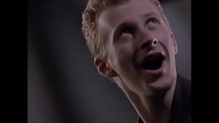 Everything Is Coming Up Roses