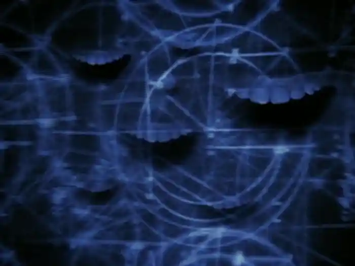 The Voice & The Snake