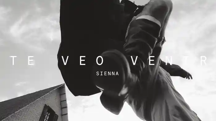 TE VEO VENIR (Lyric Video)