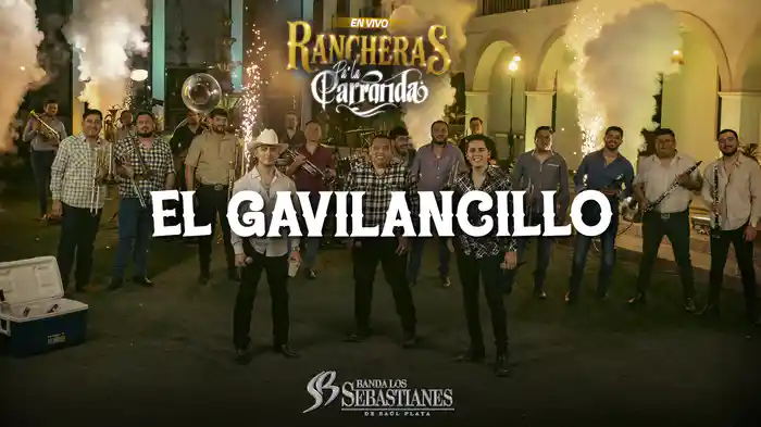 El Gavilancillo (En Vivo / LETRA)