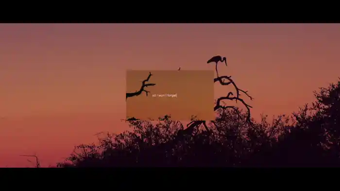 Mumford & Sons And National Geograpic Present: October Skies (Lyric Video)