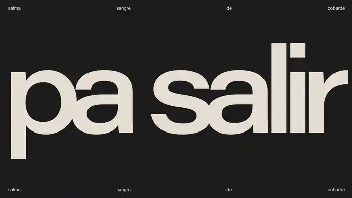 PA SALIR - outro (Visualizer)