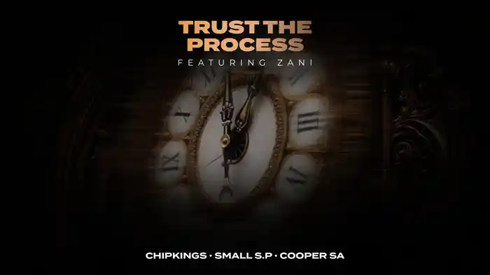 Trust the process (Visualizer)