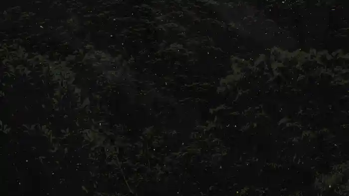 Ouço Deus Me Chamar (Lyric Video)