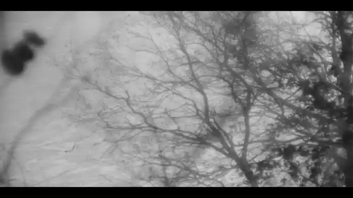 Memory One (Visualiser)