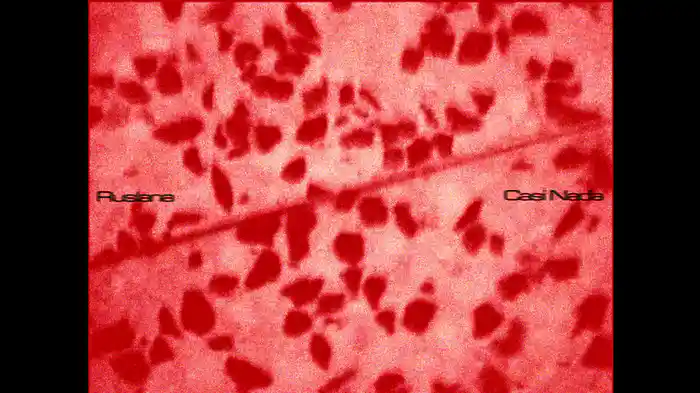 casi nada (Lyric Video)