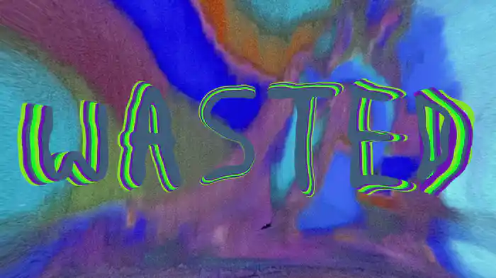 Wasted Youth (Visualizer)