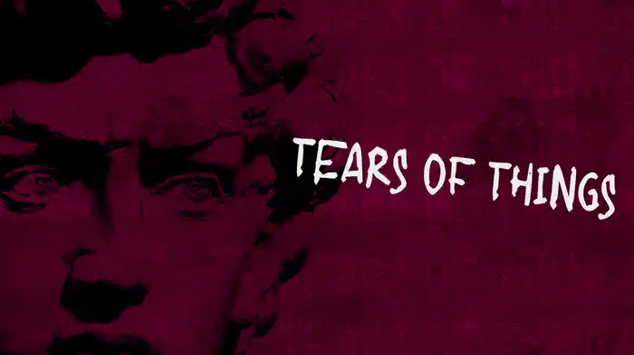 The Tears Of Things (Lyric Video)