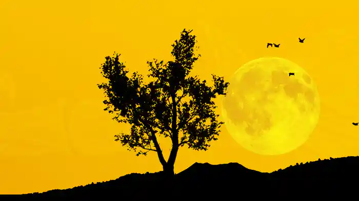 Black Bess (Visualiser)