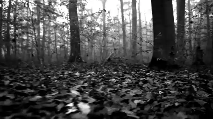 Martin (Hallowe’en Mix / Visualiser)