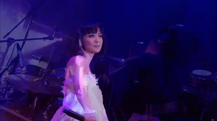 傻女 (Live in Hong Kong / 2008)