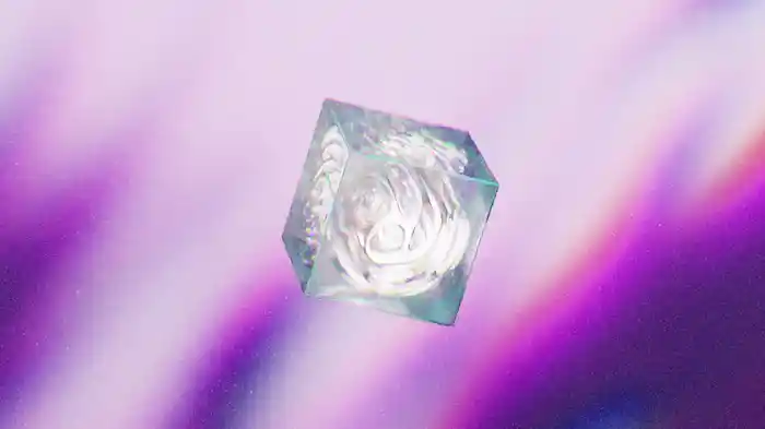 Miracle (Visualizer)