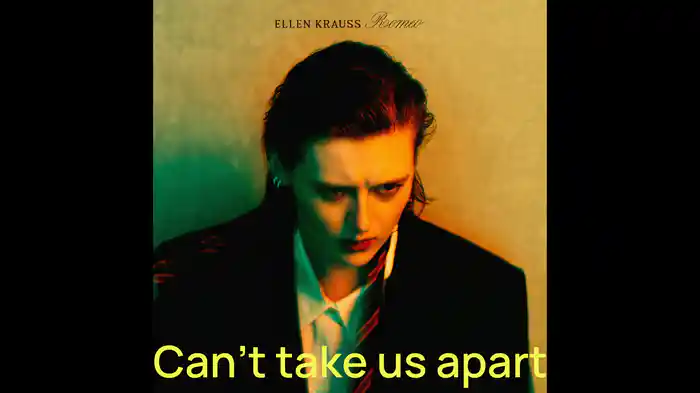 Can't Take Us Apart (Lyric Video)