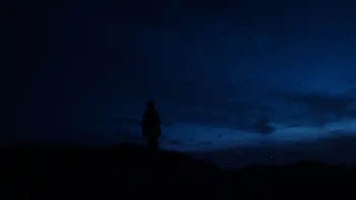 メタセコイアと月