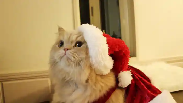 にゃングルベル