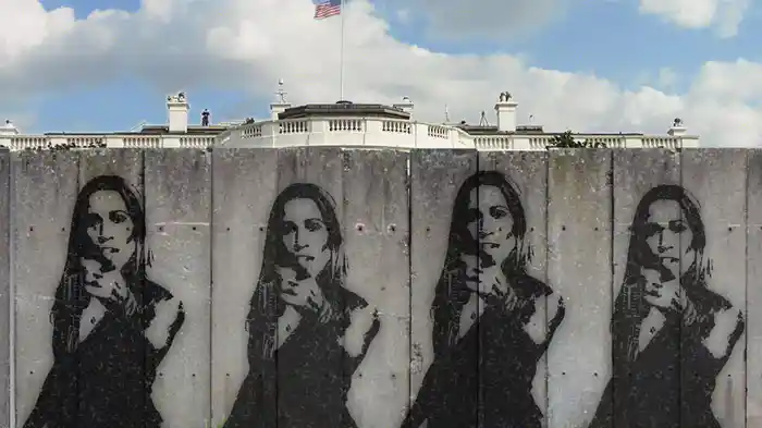 Woman In The White House (2020 Version)