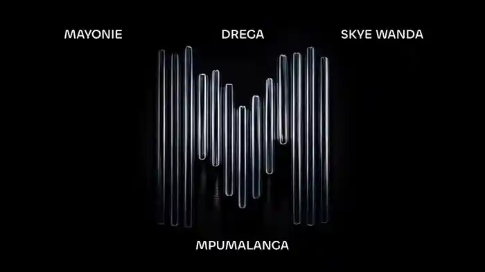 Mpumalanga (Visualizer)