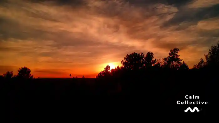 Mindful Sleep Stories: ASMR Reflexology Foot Massage (Visualiser)