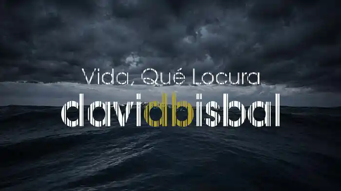 Vida, Qué Locura (Lyric Video)