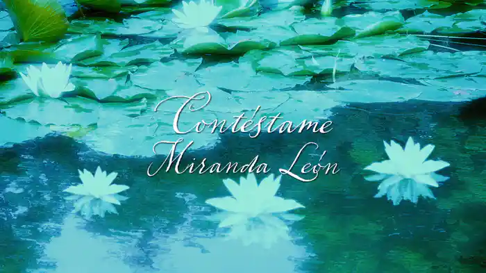 Contéstame (Visualizer)