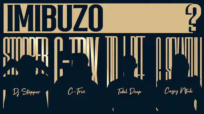 Imibuzo (Visualizer)