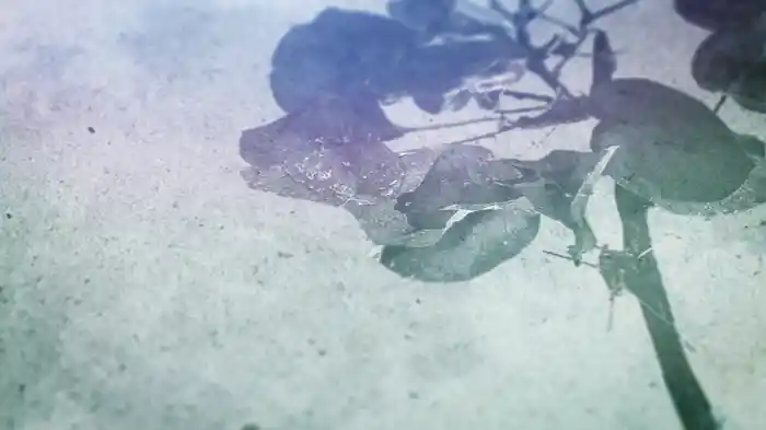 One Heart To Another (Lyric Video)