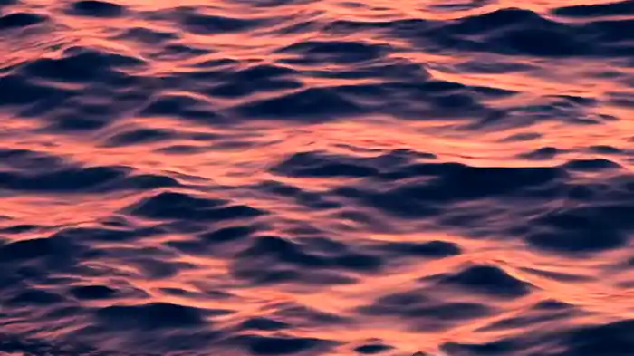 Under The Skin (Visualizer)